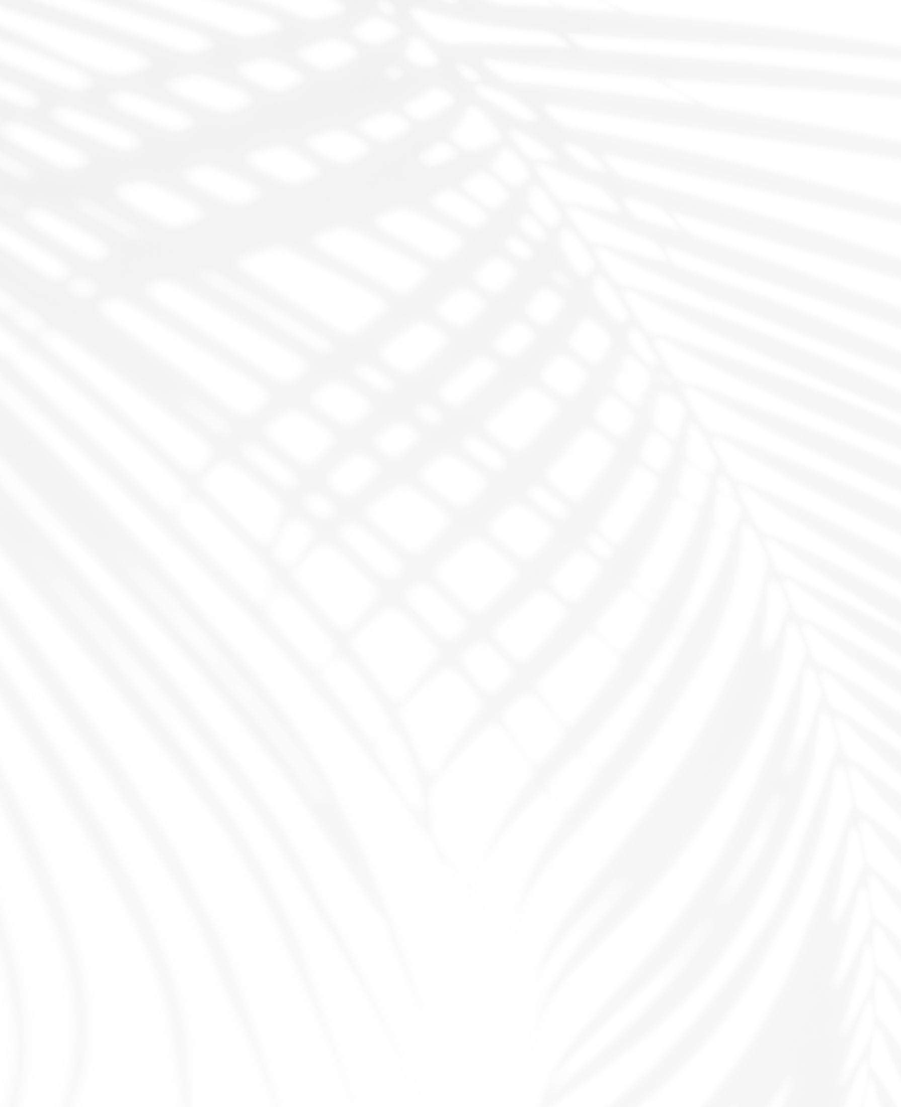 Abstract shadow pattern of palm fronds.