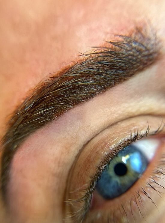 Close-up of an eyebrow and eye detail.