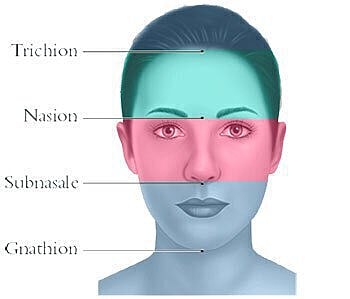 Facial anatomy labeled with measurement points.